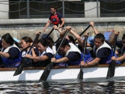 APN dragon boat racing team